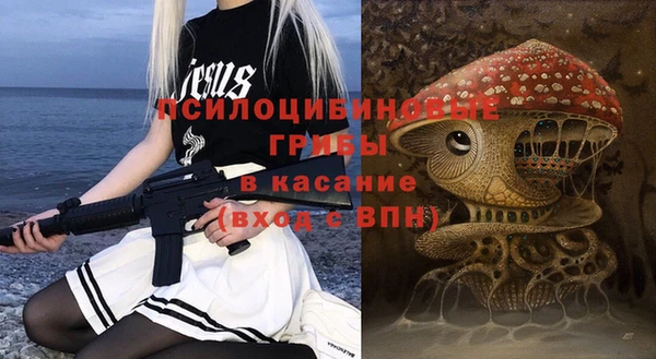 МДПВ Навашино